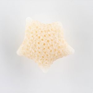 Hoshi no Suna Necklace