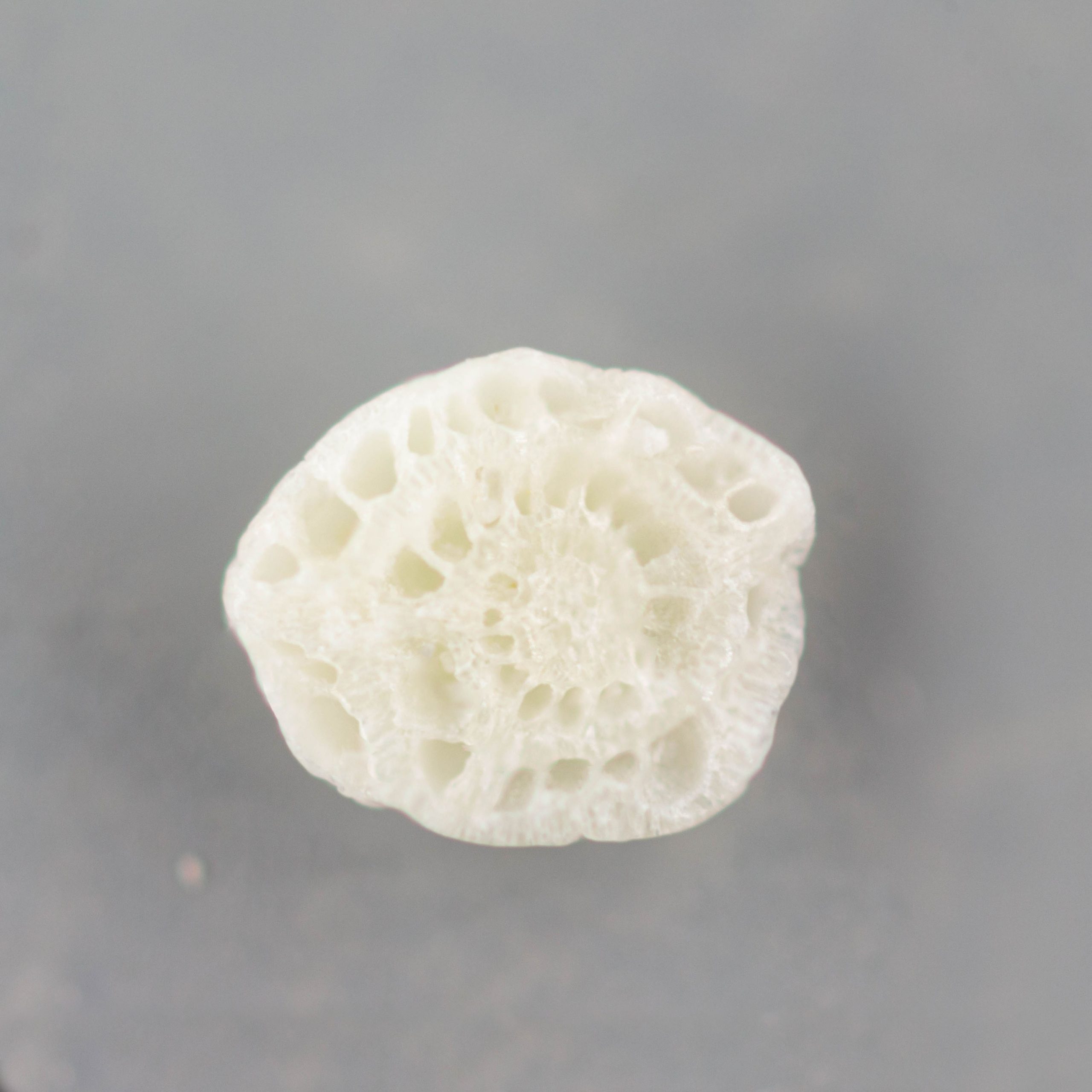 Suna Tsubo grain A flowerlike grain of sand close up