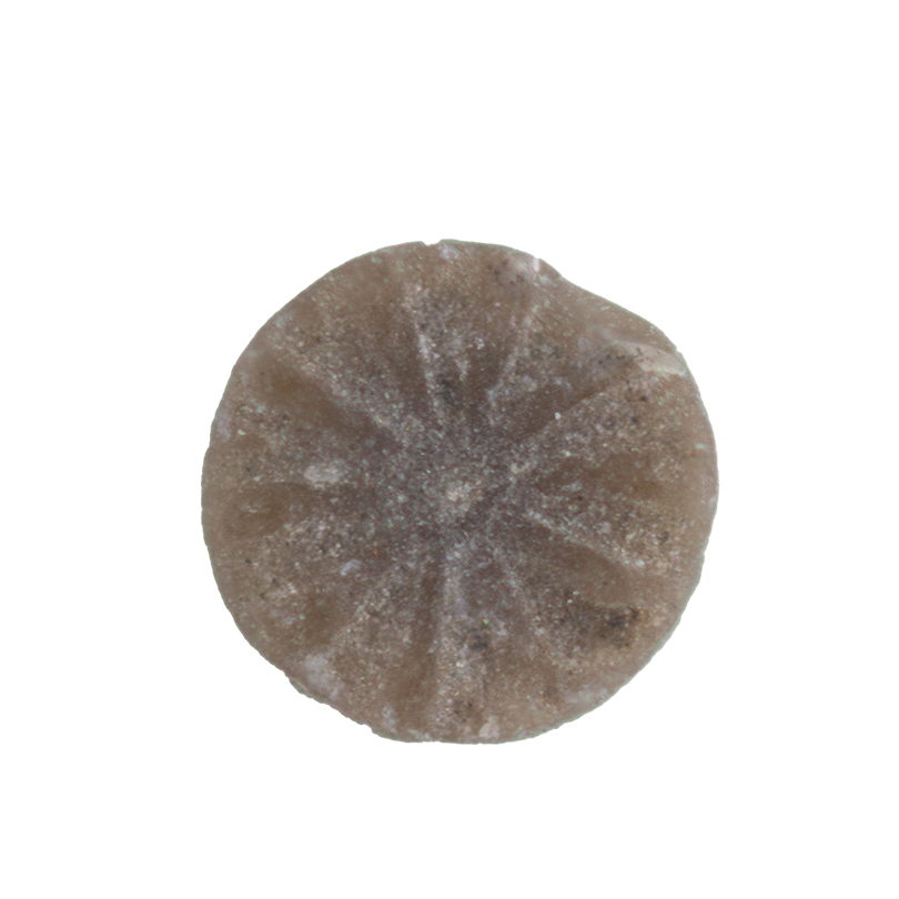 Close up of a grain of sand looking like a flower from a lily