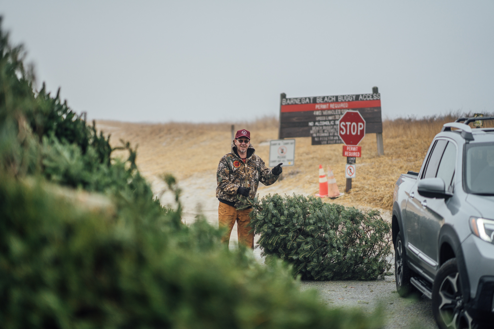 Read more about the article Old Christmas trees rebuild sand dunes!