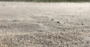 beige beach sand glittering in the sun